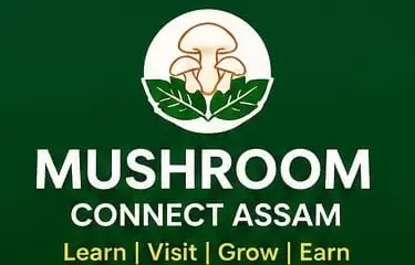 Mushroom Connect Assam