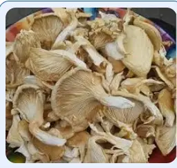 Guwahati Dry Mushroom