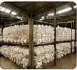 Green Grow Mushroom Farm