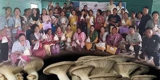 Oyster Mushroom Basic Training